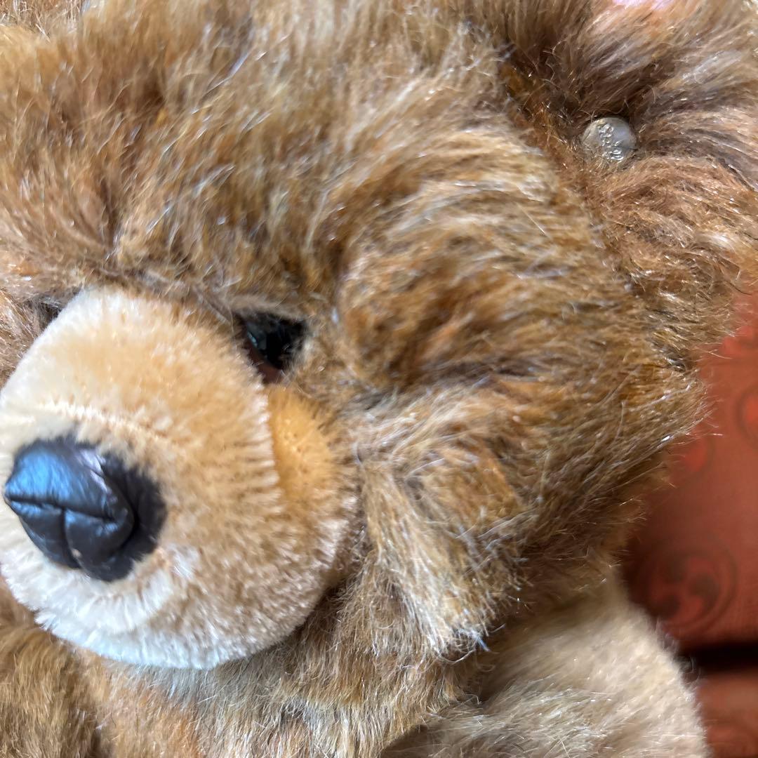 もはやアンティークになったSteiff のテディベア